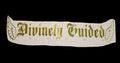 DG FRONT WINDSHIELD BANNER