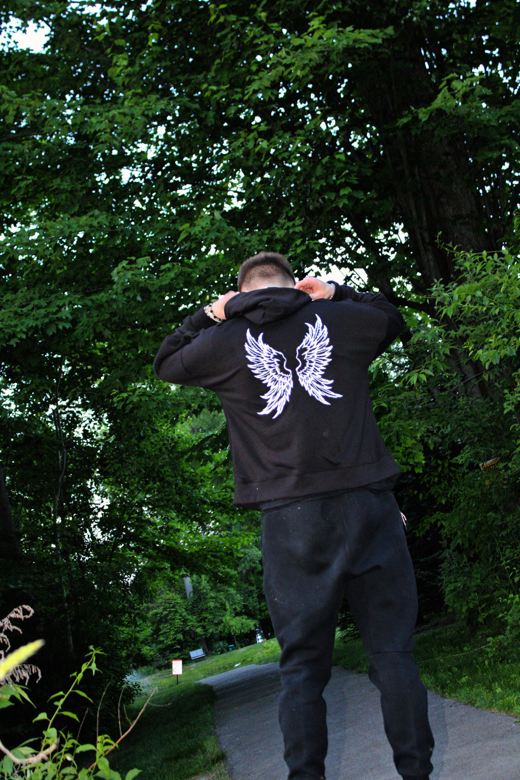 The Awakening // 001 - Angel Wings hoodie