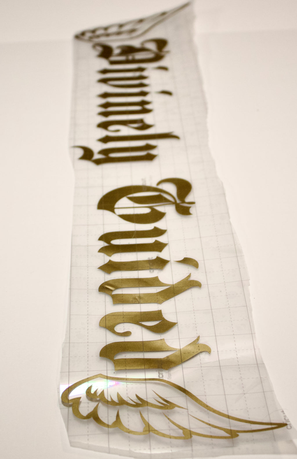 DG FRONT WINDSHIELD BANNER
