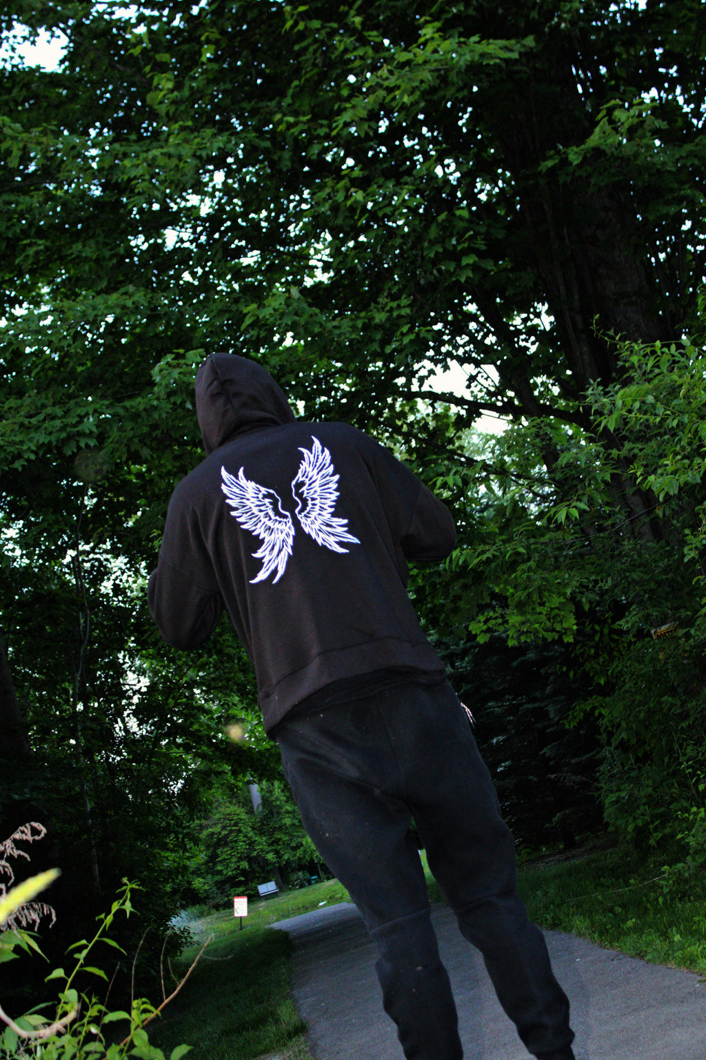 The Awakening // 001 - Angel Wings hoodie