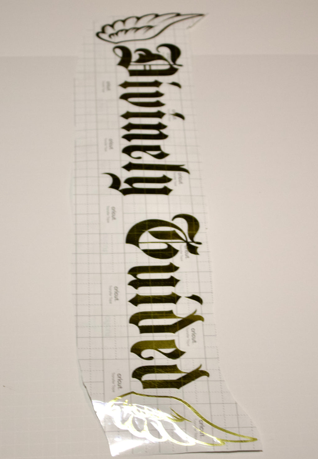 DG FRONT WINDSHIELD BANNER