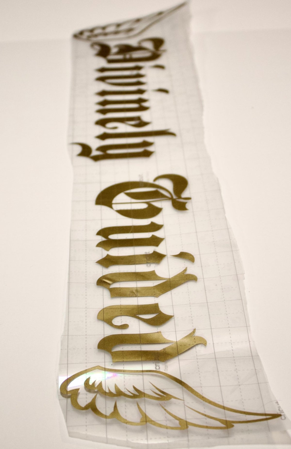 DG FRONT WINDSHIELD BANNER - Divinely Guided