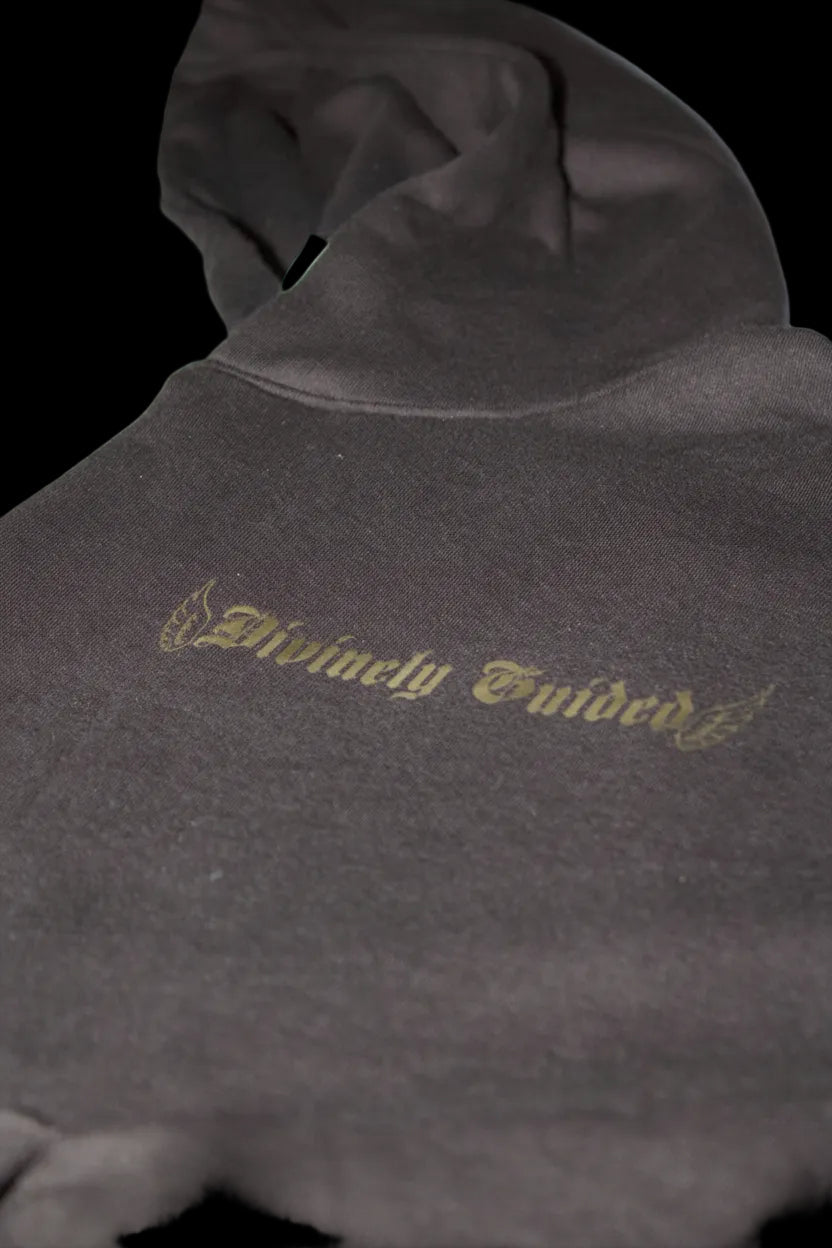 Founder's Edition Phoenix Hoodie - Divinely Guided