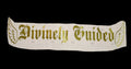 THE DIVINE SIGNAL SET / HOODIE + BANNER BUNDLE - Divinely Guided